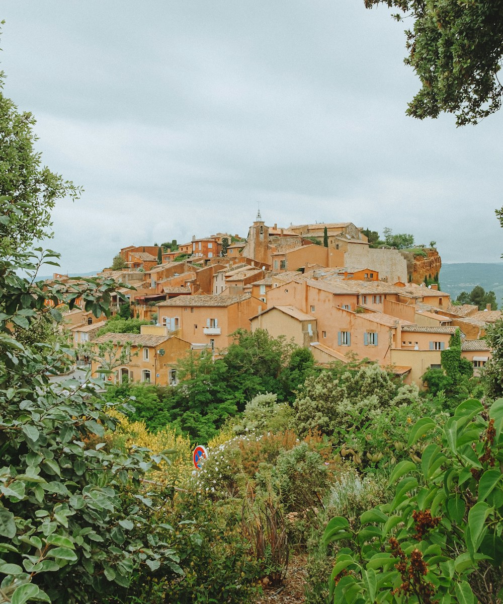 Village médiéval perché de Mougins, maisons aux façades ocre, verdure de l'arrière-pays cannois